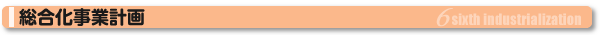 総合化事業計画